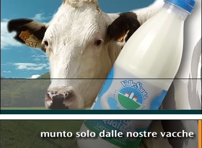 Latte crudo alta qualità